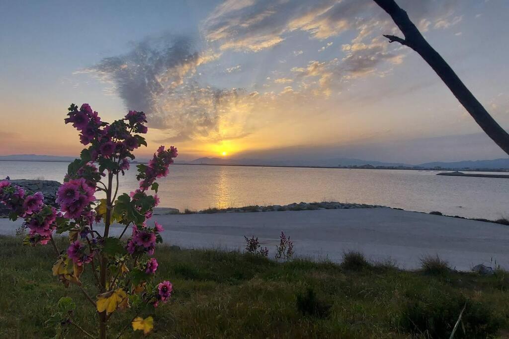 Sunsetmare Vacational Apartment Rosas Exterior foto
